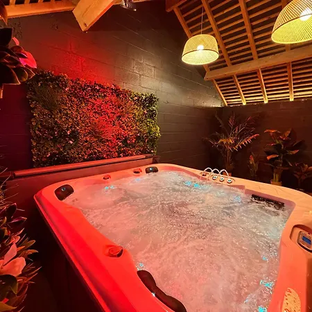 Villa L'escale Des Lys - Jaccuzi & Versailles By Vyvea Villiers-Saint-Frédéric